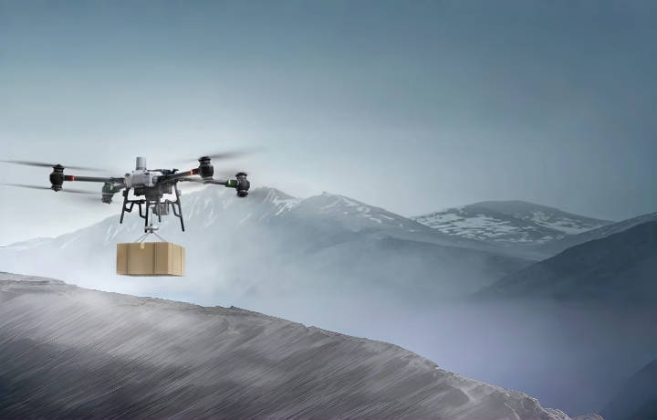 Quomodo gravida BMS in fuco utebantur?